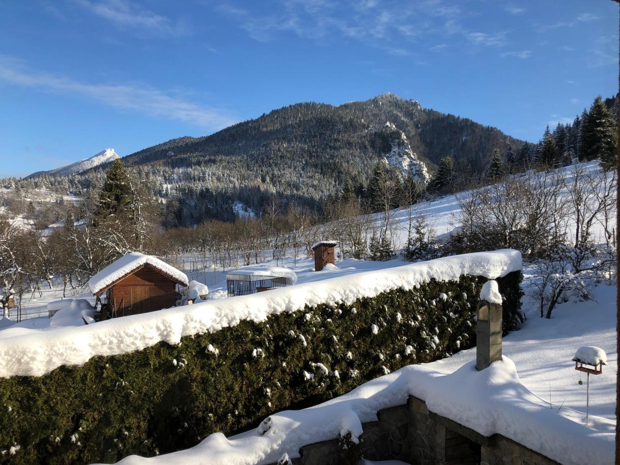 Penzion Irka Terchová Exteriör bild